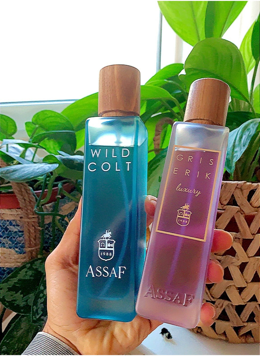 Assaf Wild Colt Perfumes